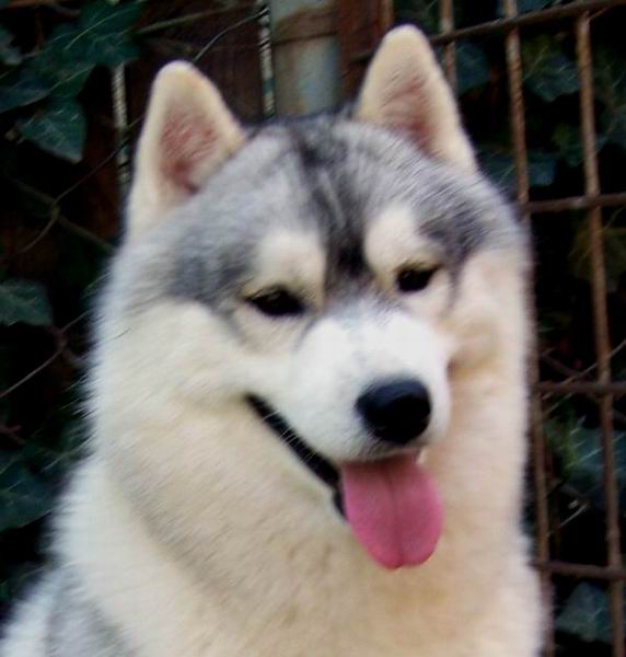 casper111.jpg